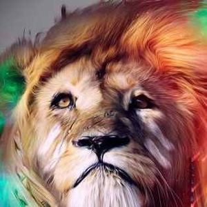 Meet your Posher, Shumba